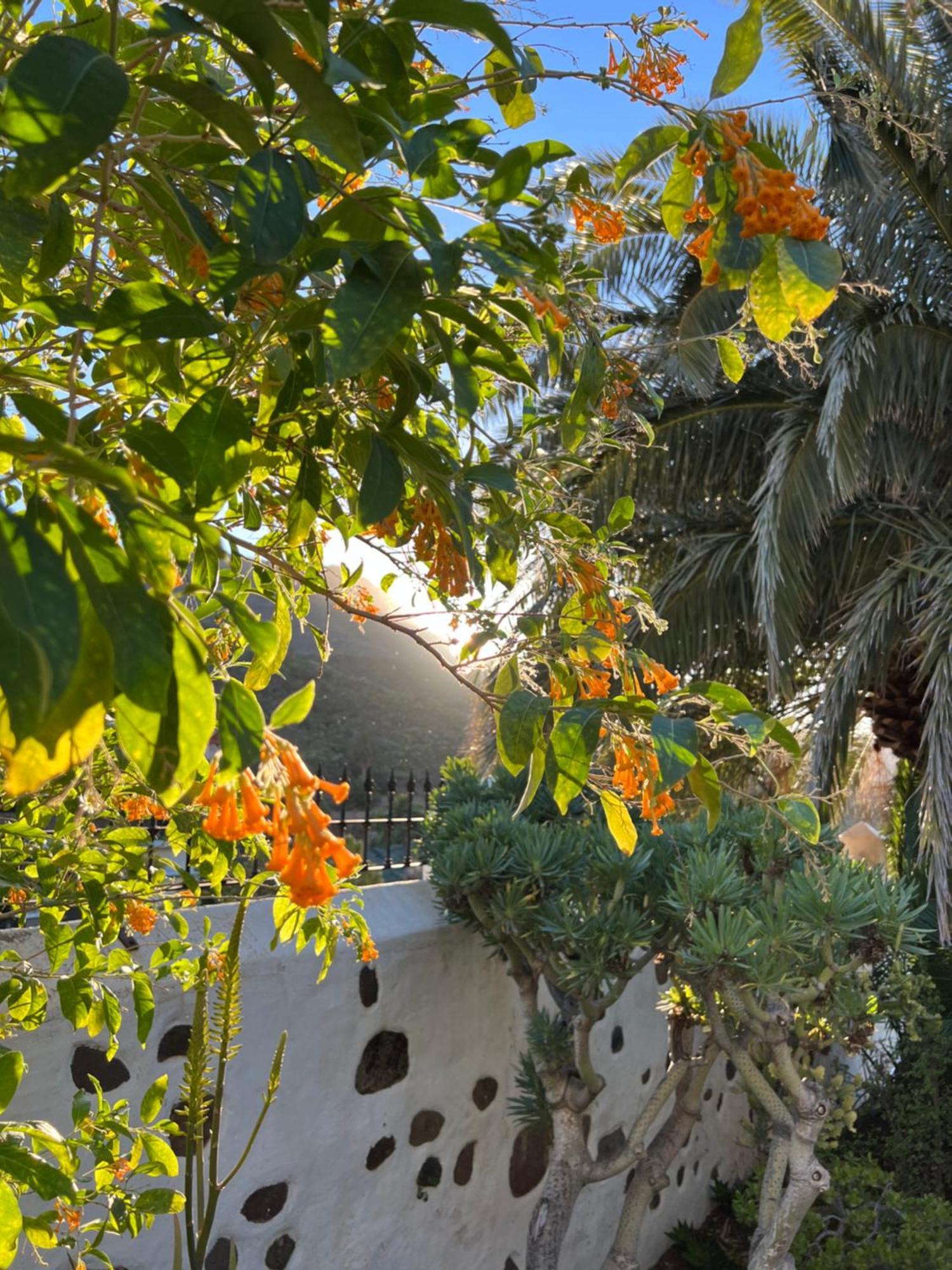 Finca Exclusiv La Mareta Агаете Екстер'єр фото