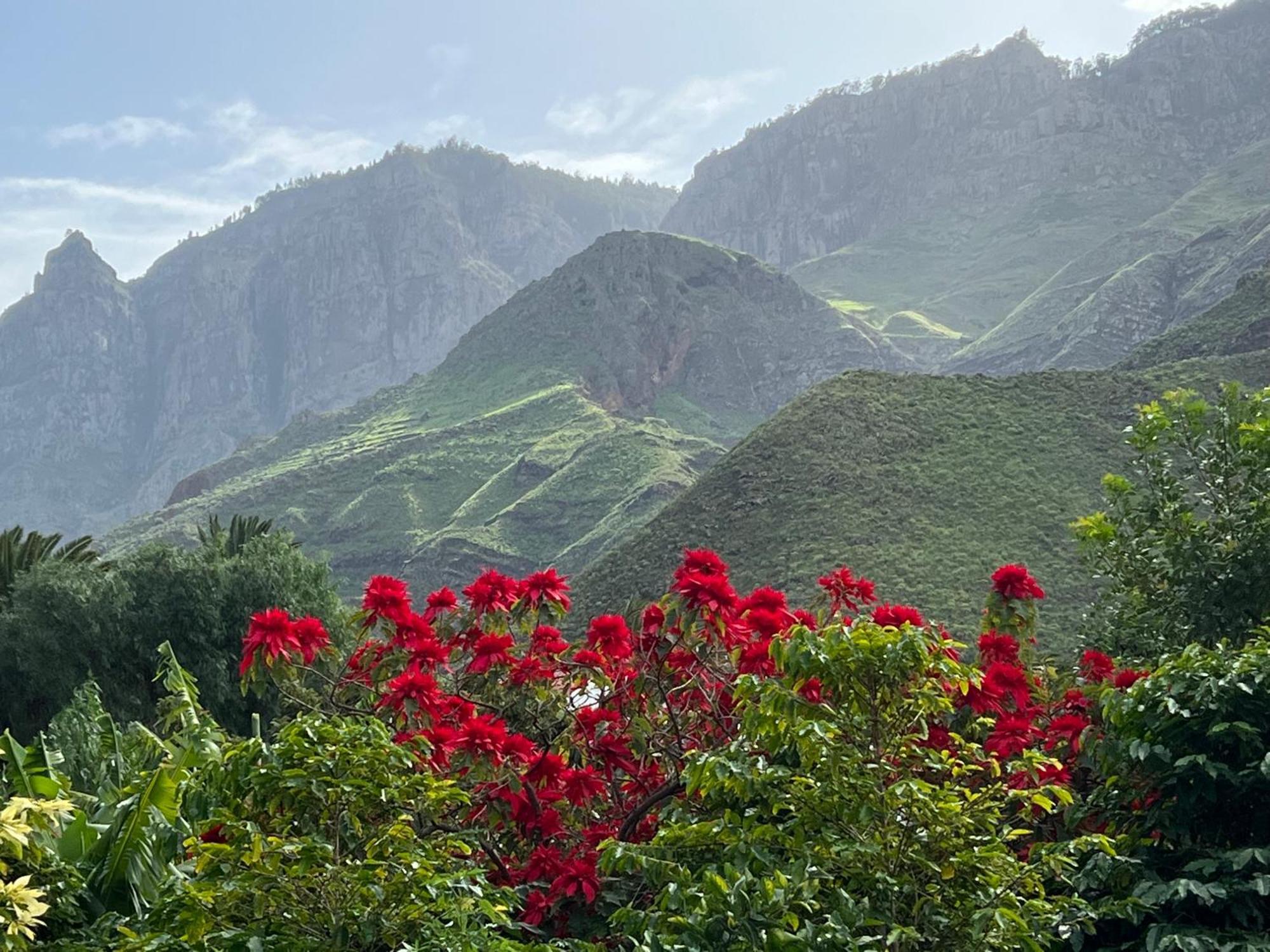 Finca Exclusiv La Mareta Агаете Екстер'єр фото