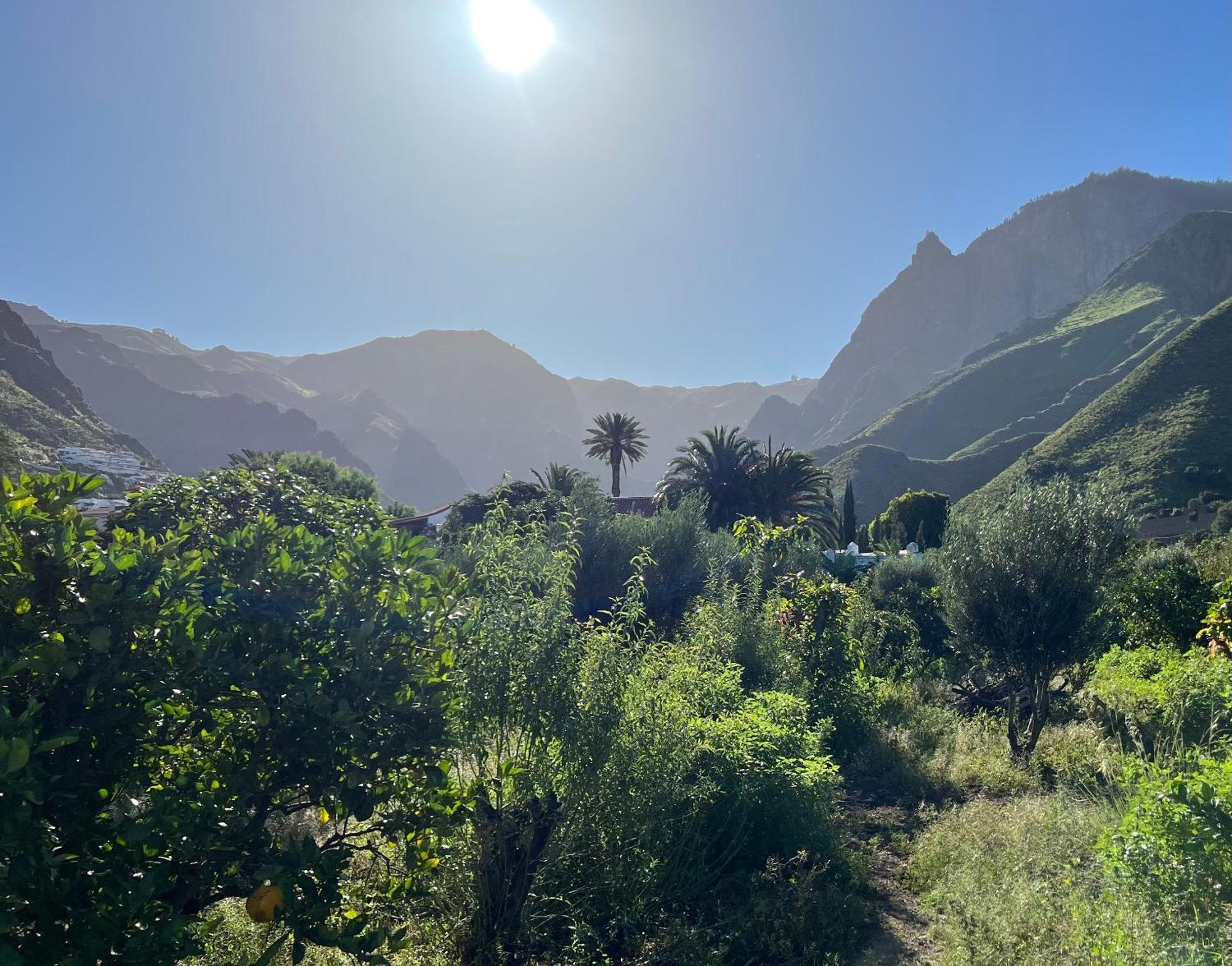 Finca Exclusiv La Mareta Агаете Екстер'єр фото
